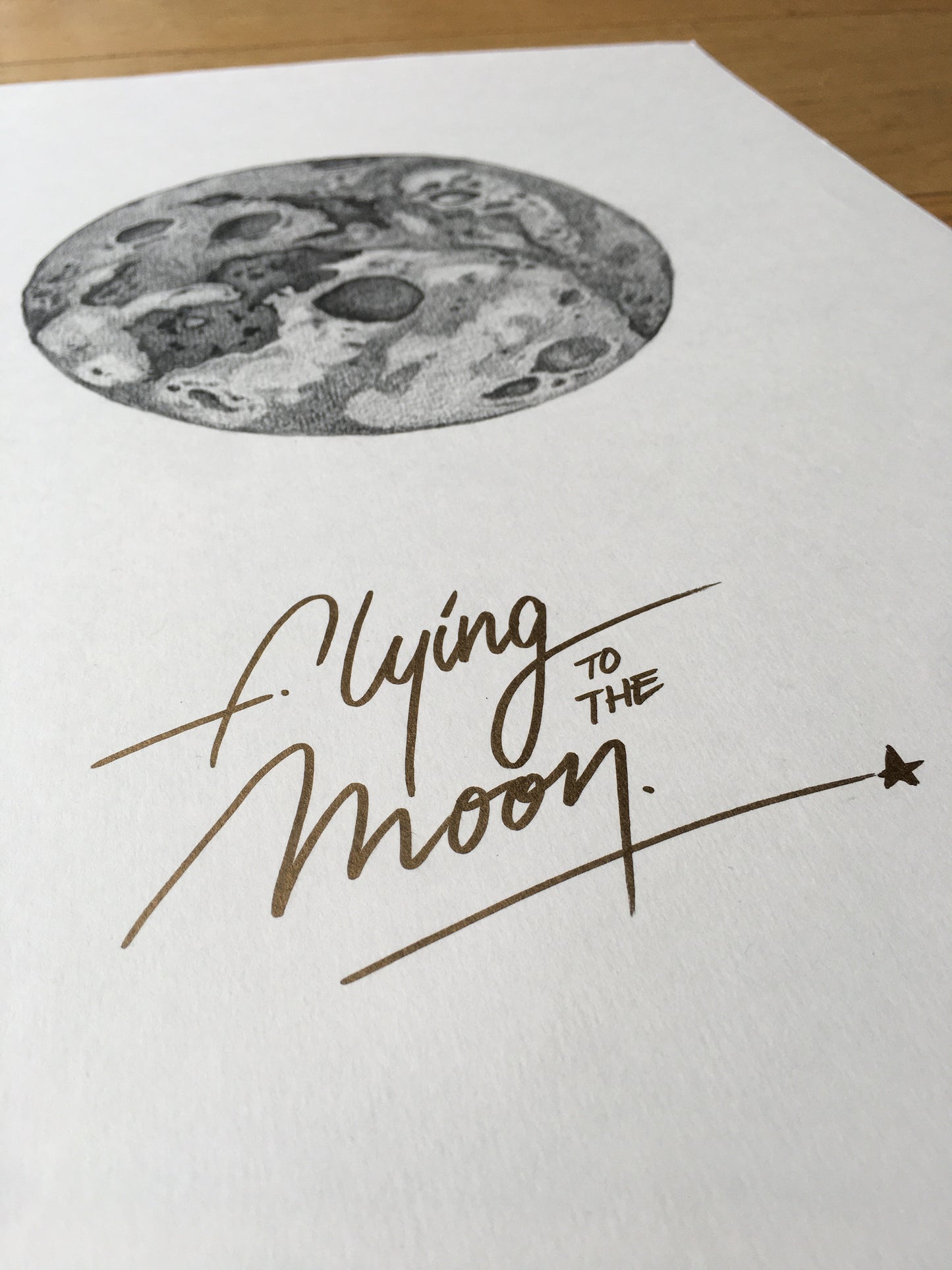 Flying to the Moon
